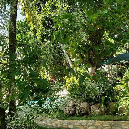 Zapote Tree Inn Flores Ngoại thất bức ảnh