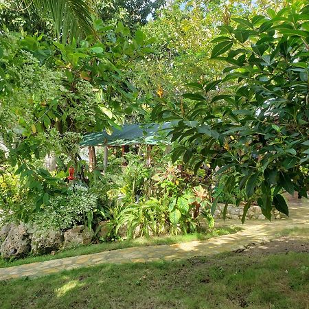 Zapote Tree Inn Flores Ngoại thất bức ảnh