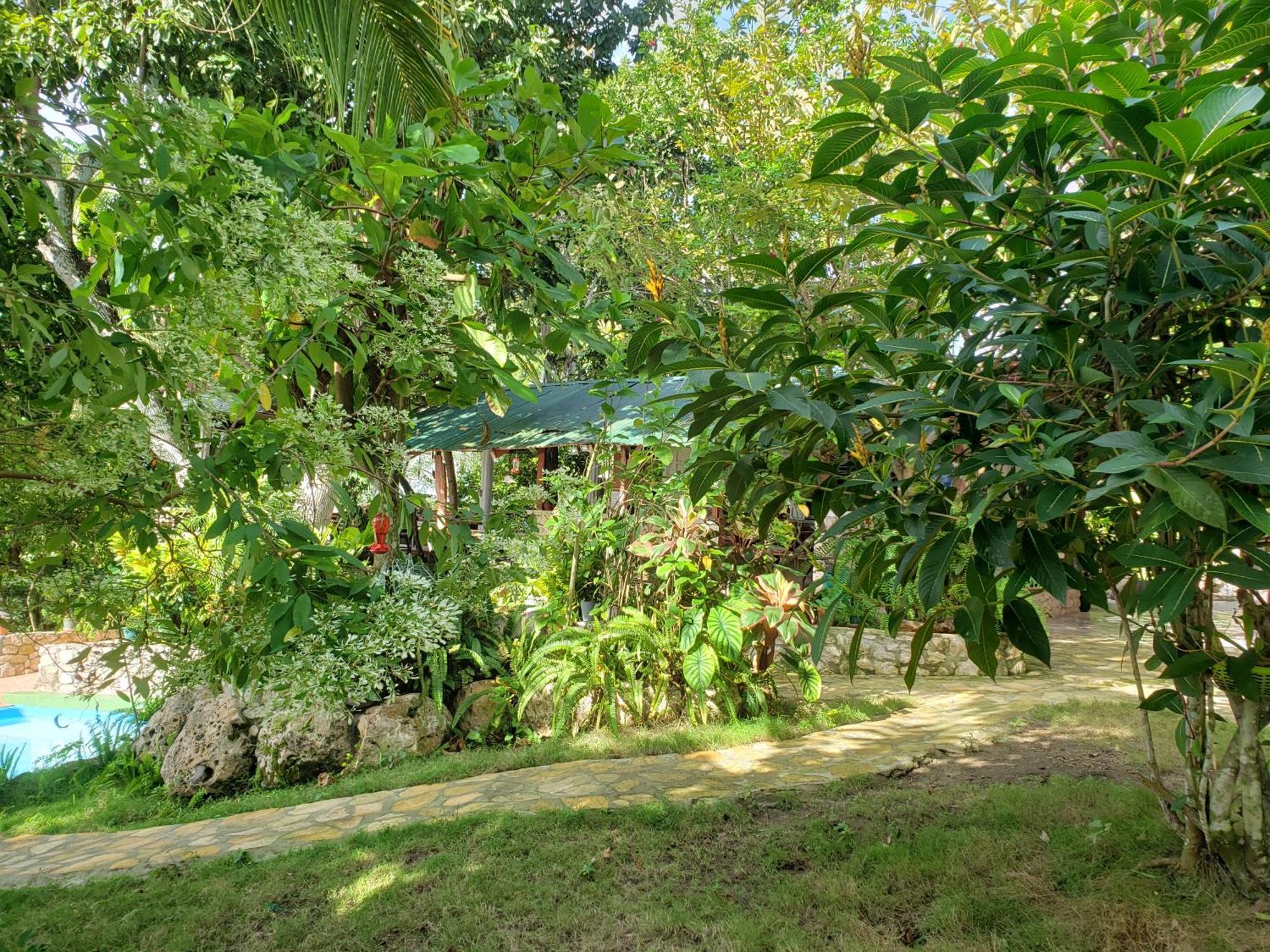 Zapote Tree Inn Flores Ngoại thất bức ảnh