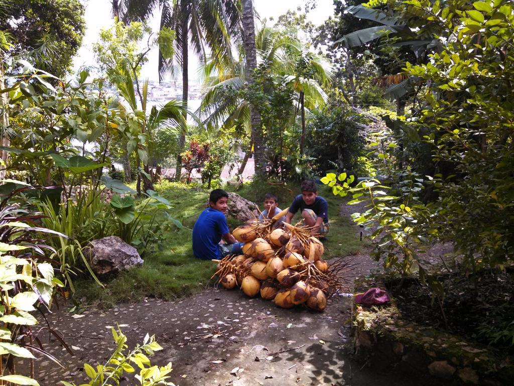Zapote Tree Inn Flores Ngoại thất bức ảnh