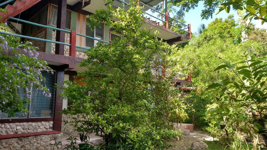 Zapote Tree Inn Flores Ngoại thất bức ảnh
