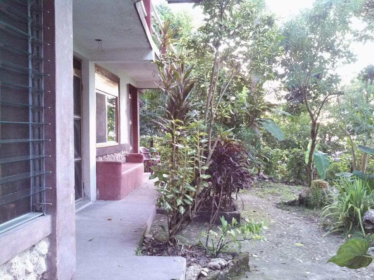 Zapote Tree Inn Flores Ngoại thất bức ảnh