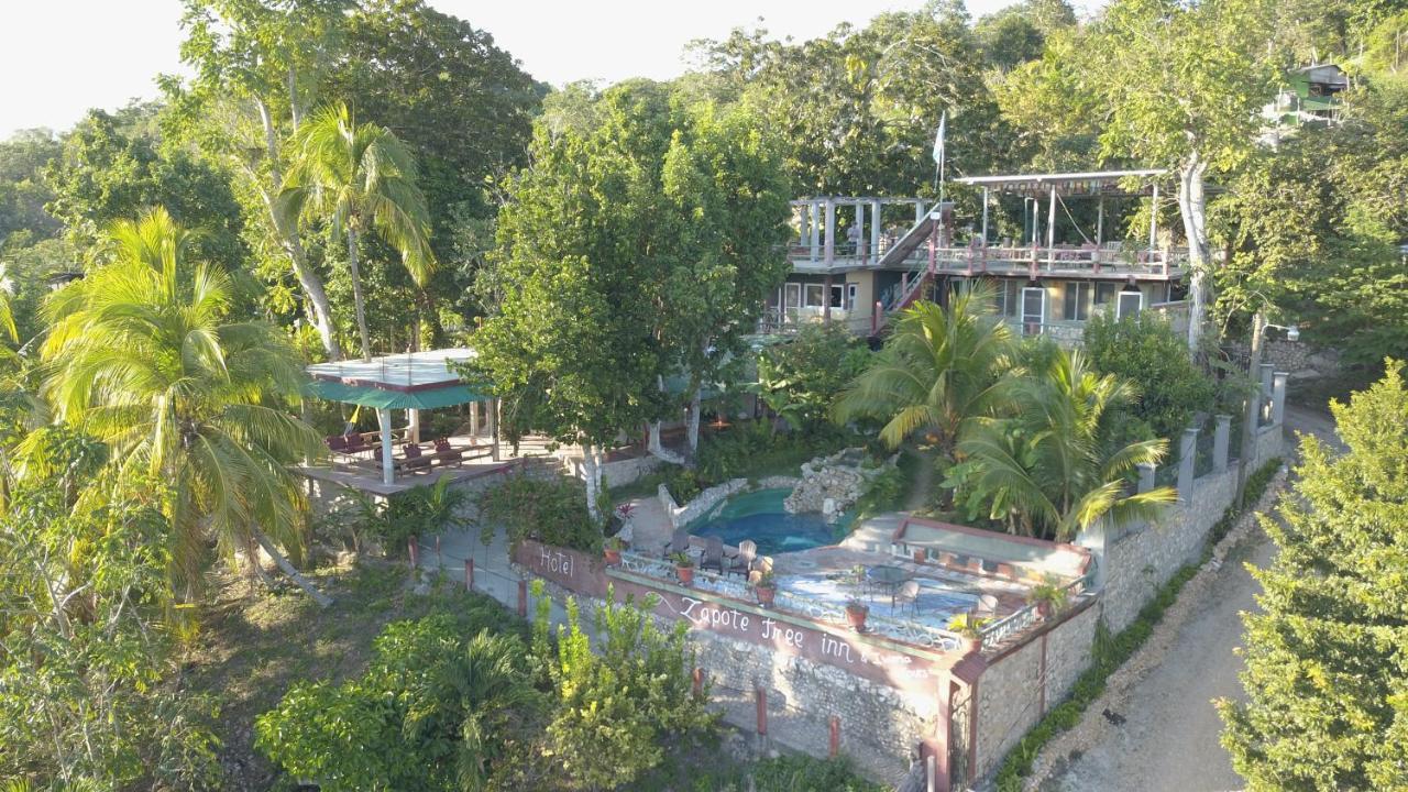 Zapote Tree Inn Flores Ngoại thất bức ảnh
